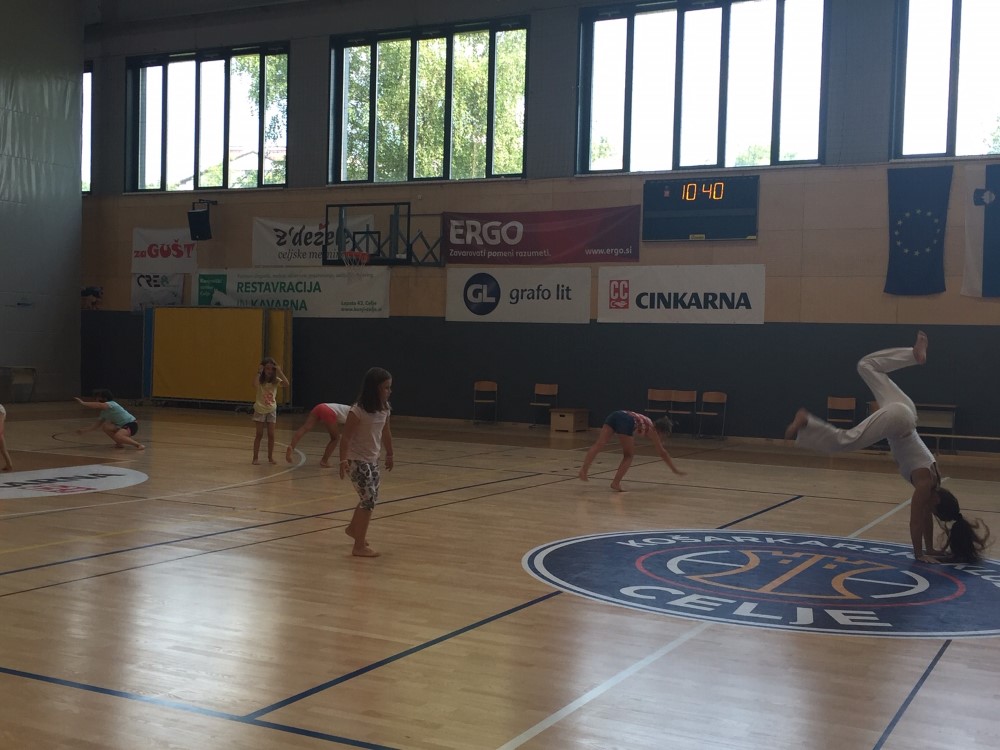 Slika 12